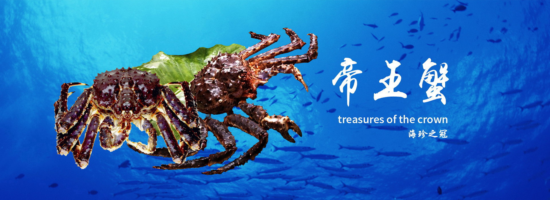 头号玩家平台官网