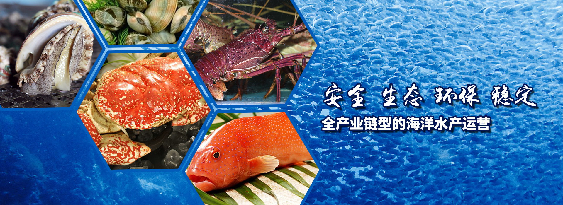 头号玩家官网首页