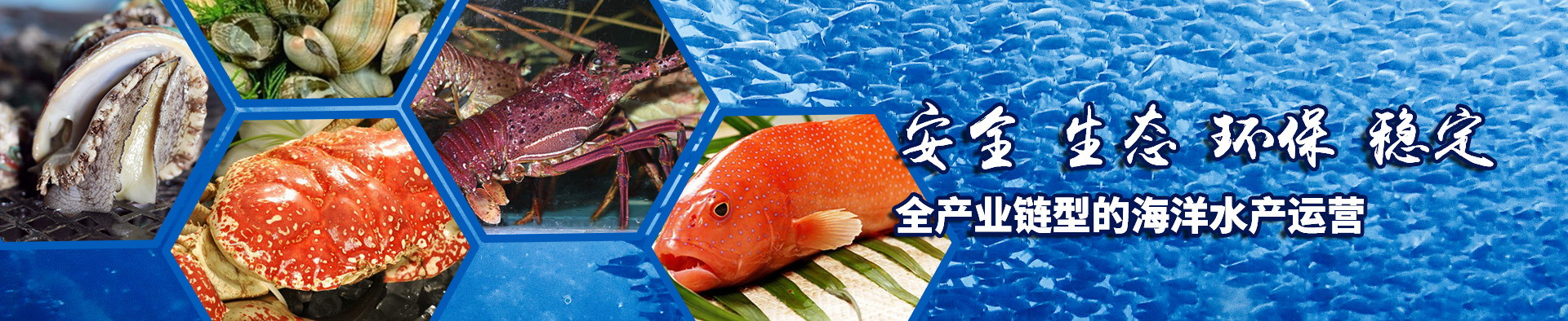 头号玩家官网首页